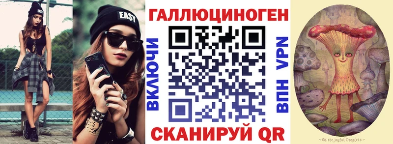 дарнет шоп  Заречный  Псилоцибиновые грибы GOLDEN TEACHER 