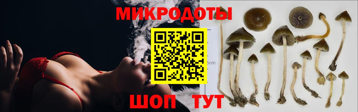 Псилоцибиновые грибы Cubensis  Вход с VPN  Псилоцибиновые грибы мицелий  Заречный 